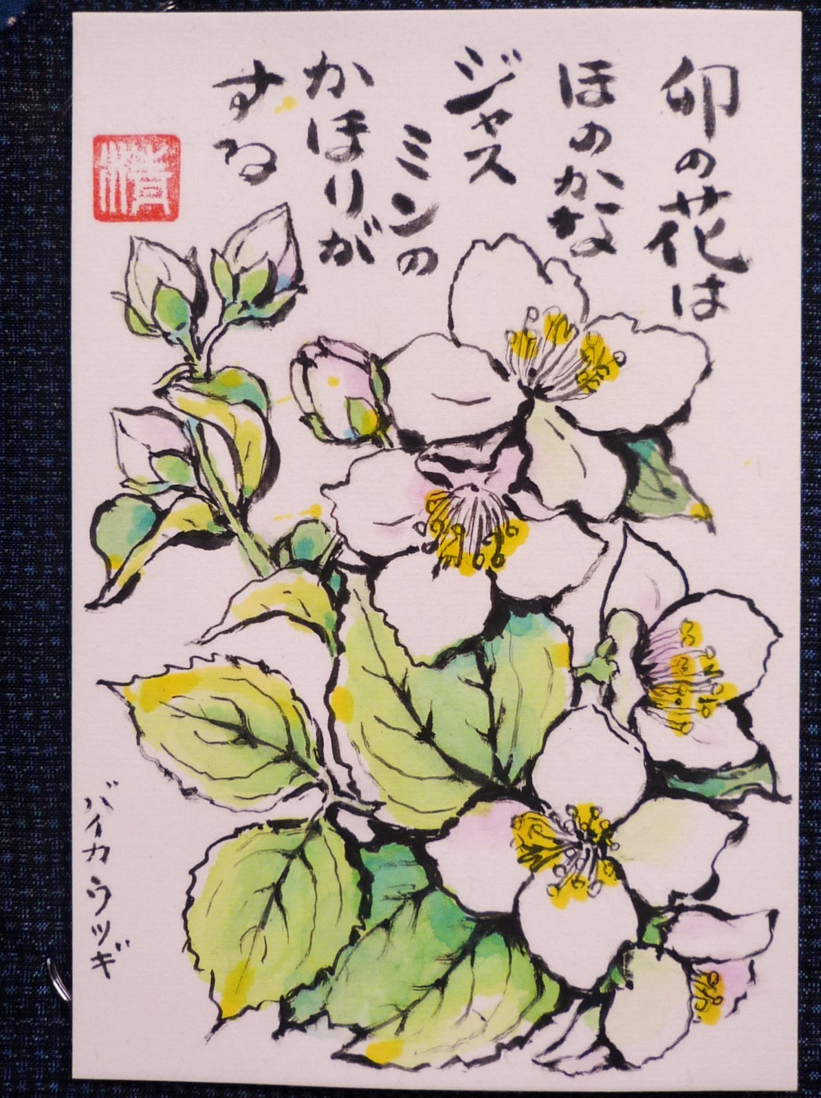 梅花空木