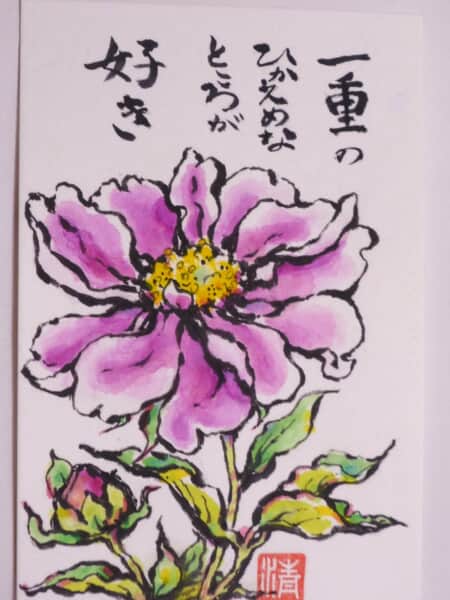 芍薬