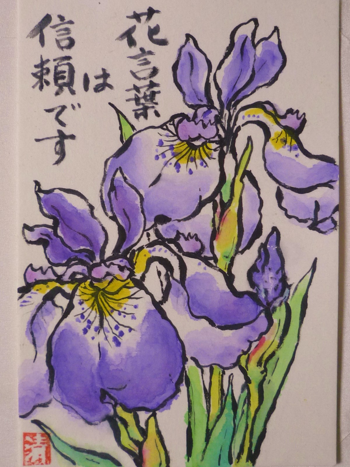 あやめ