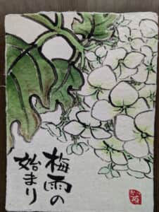 梅雨の始まり
