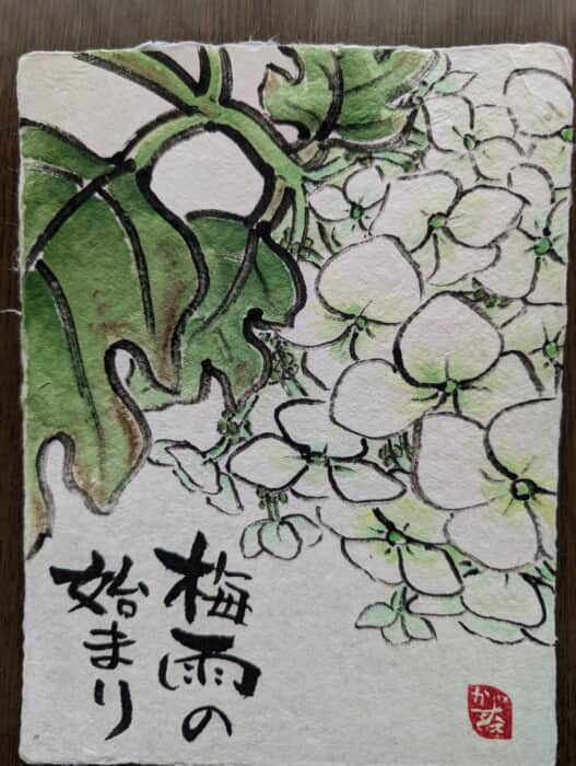 梅雨の始まり