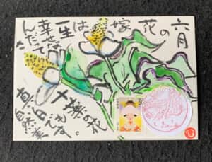 六月の花嫁って‼️