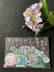 虹色と七変化のあじさいは美しい