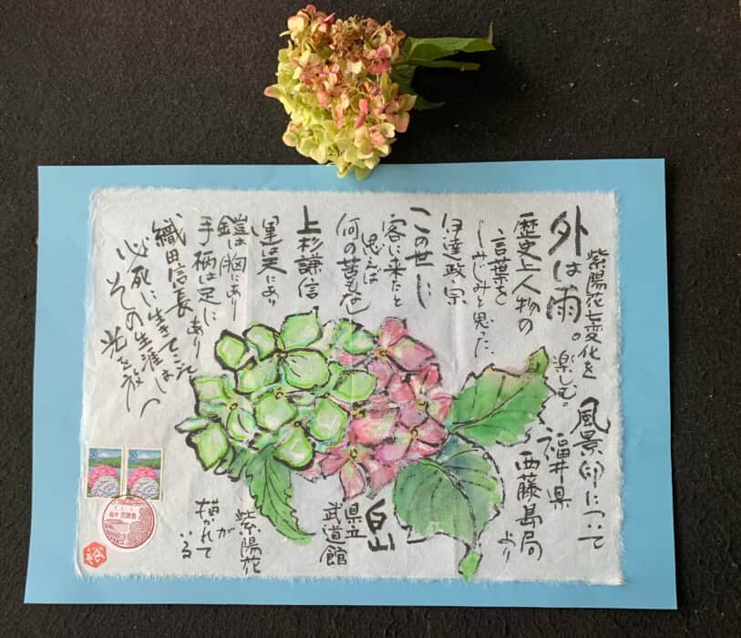 白、緑、赤色と変化する紫陽花