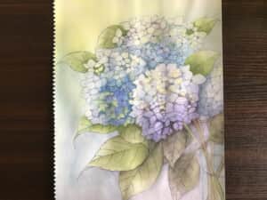 紫陽花