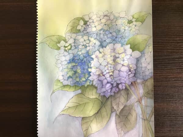 紫陽花