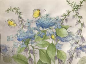 山紫陽花