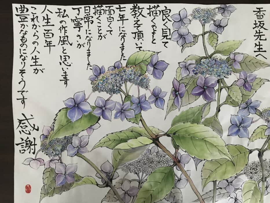 額紫陽花