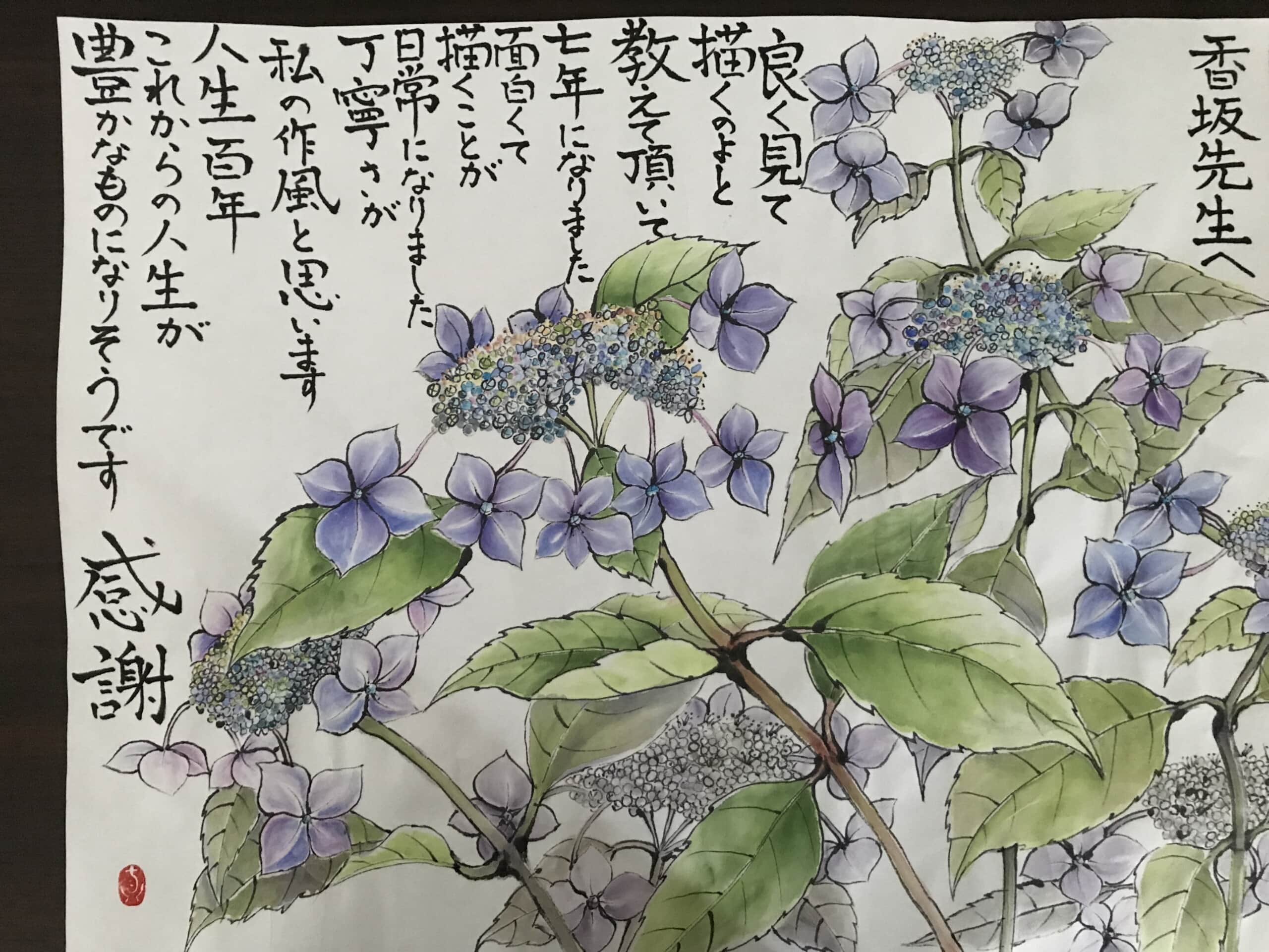 額紫陽花