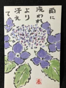 紫陽花