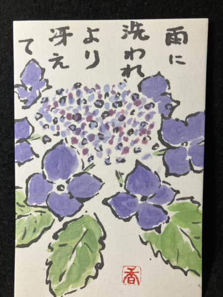 紫陽花