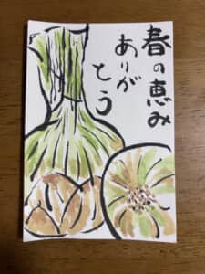新鮮な新玉ねぎ