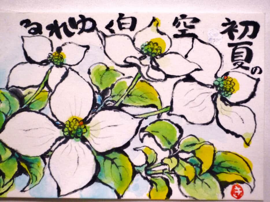 山帽師
