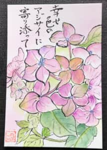 アジサイ