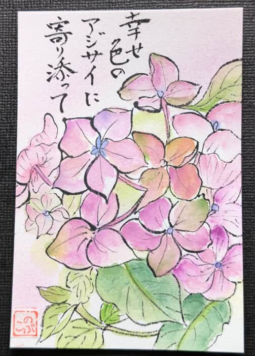 アジサイ