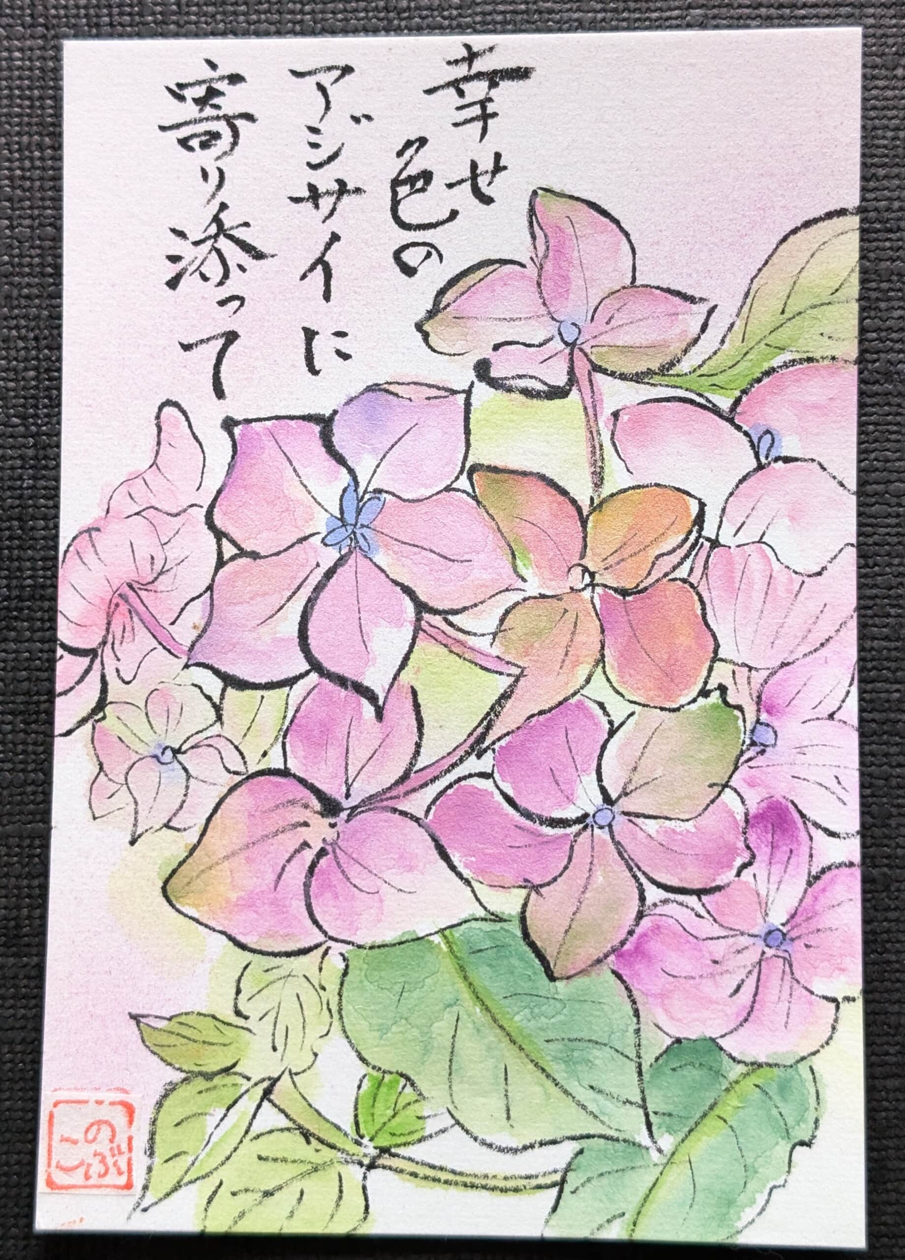 アジサイ