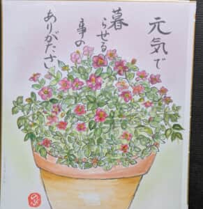 ベニヒメリンドウち