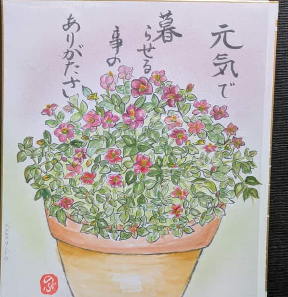 ベニヒメリンドウち