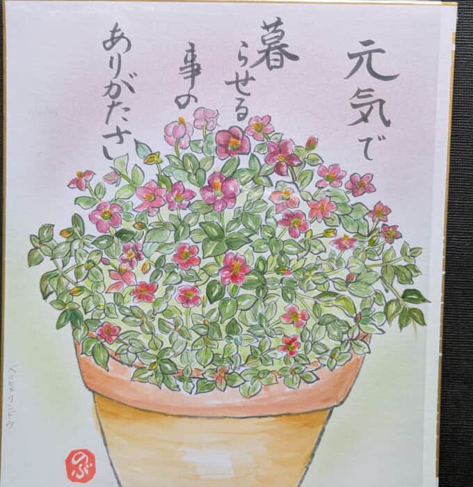 ベニヒメリンドウち