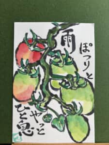 やさい日記