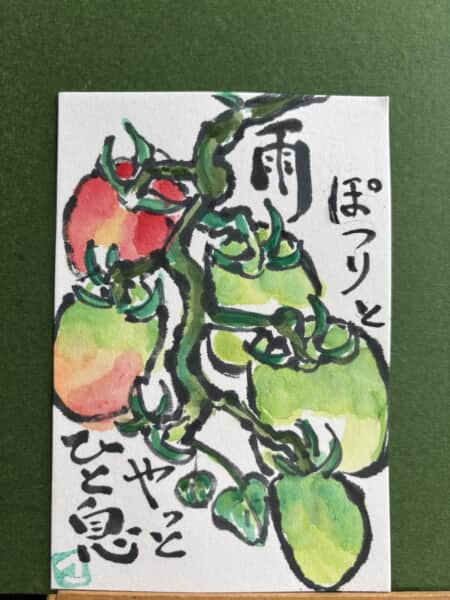 やさい日記