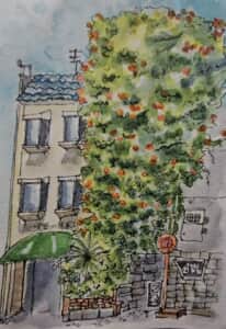 ノウゼンカズラ～*