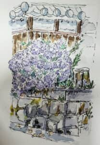 歴史を感じる紫陽花の花～*