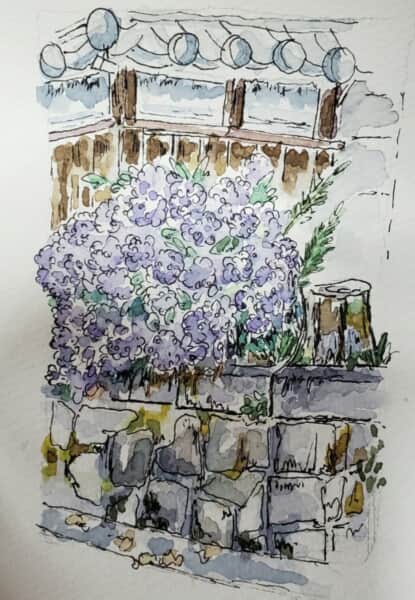 歴史を感じる紫陽花の花～*
