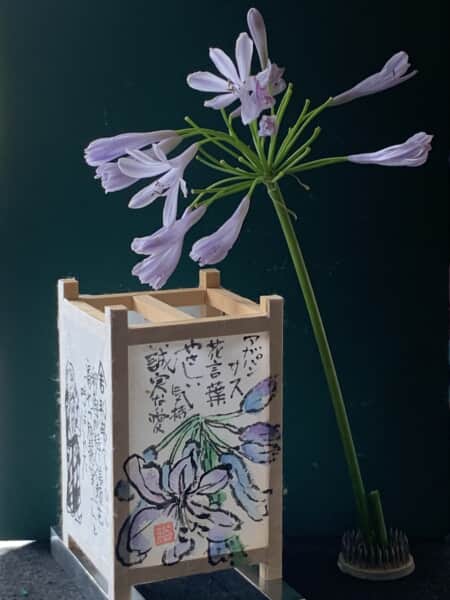 七月になりました。
