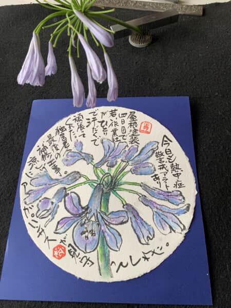 紫君子蘭がひと足先の花火だよー。