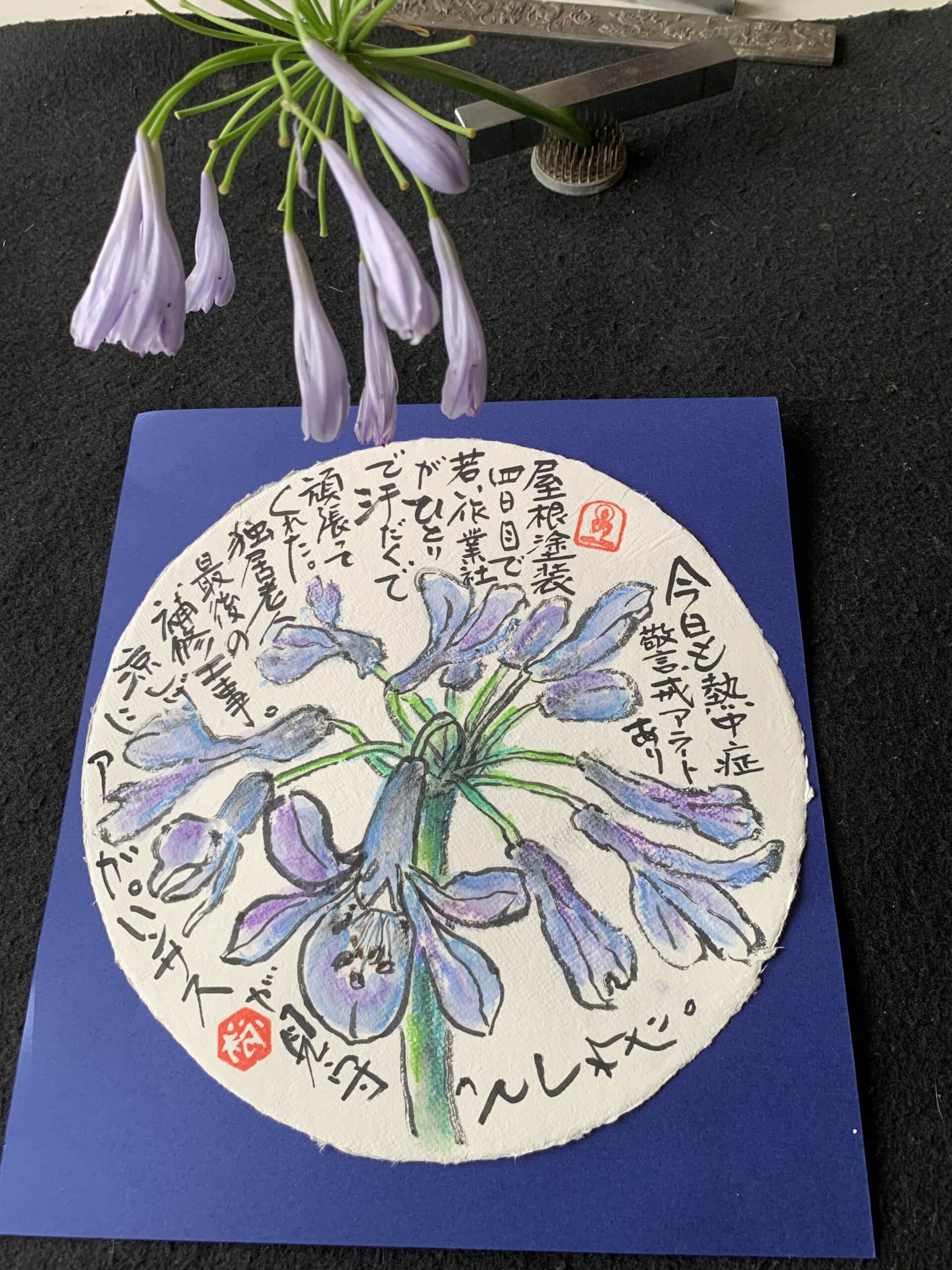 紫君子蘭がひと足先の花火だよー。