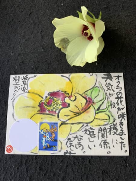 お天道様有り難いね