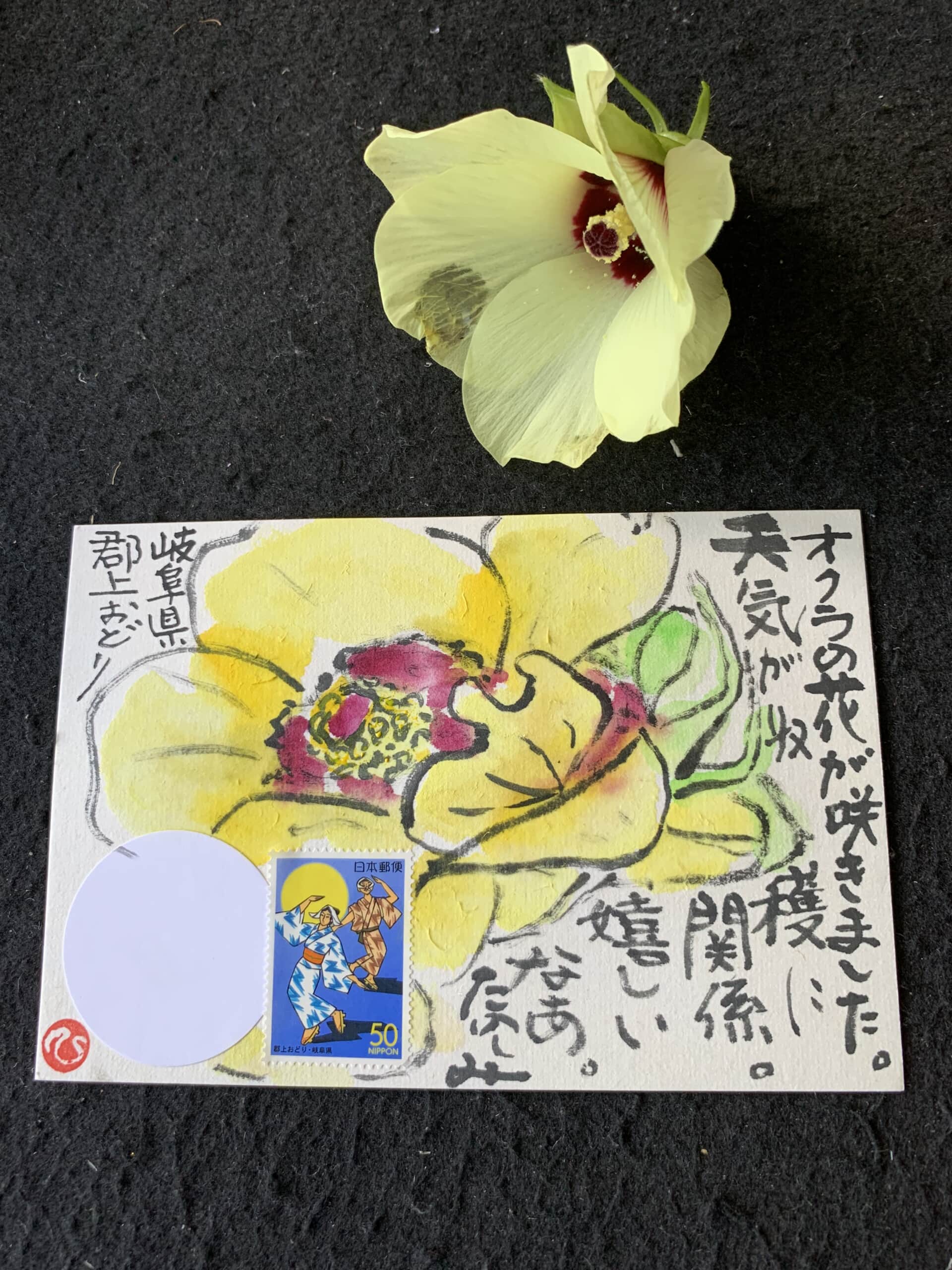 お天道様有り難いね