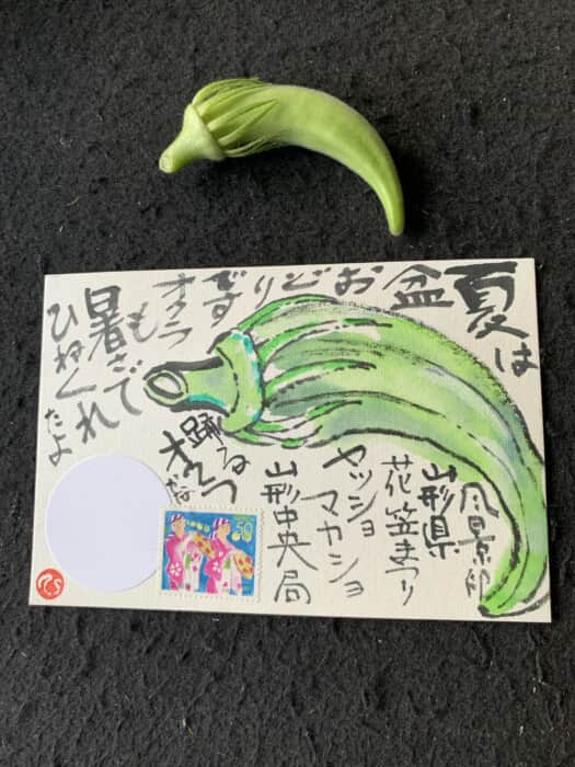 自宅菜園収穫のオクラ