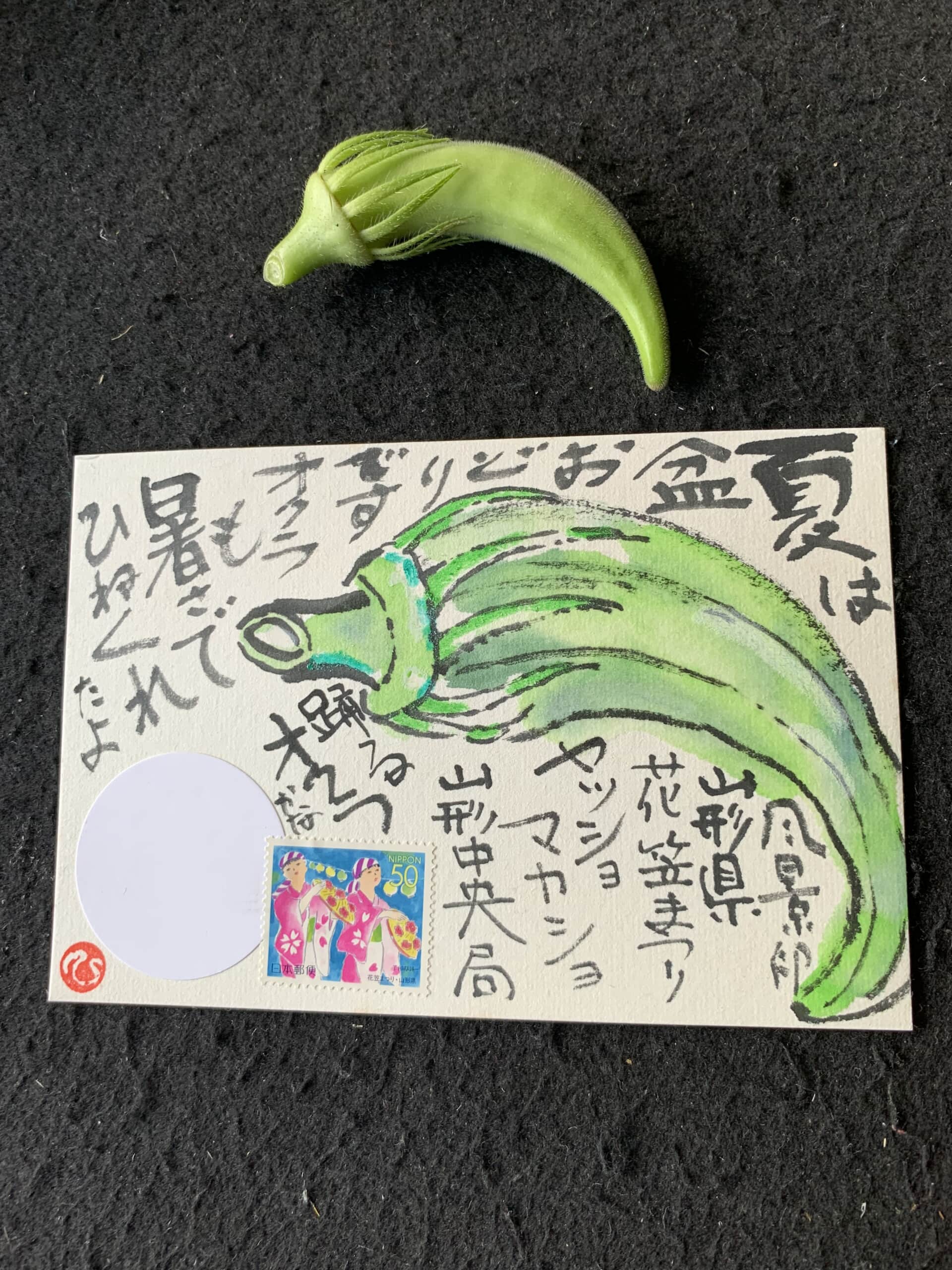 自宅菜園収穫のオクラ