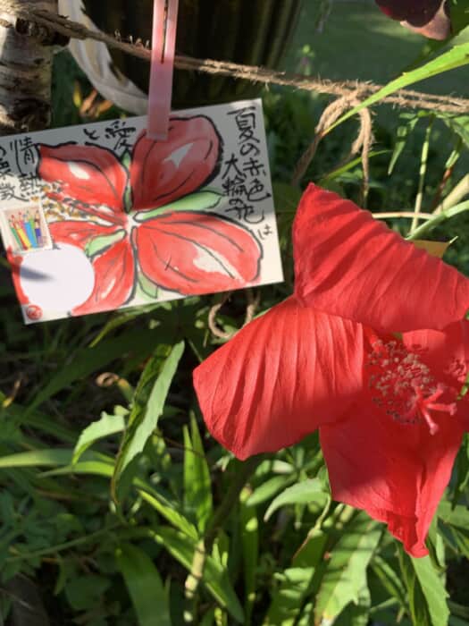 情熱の花