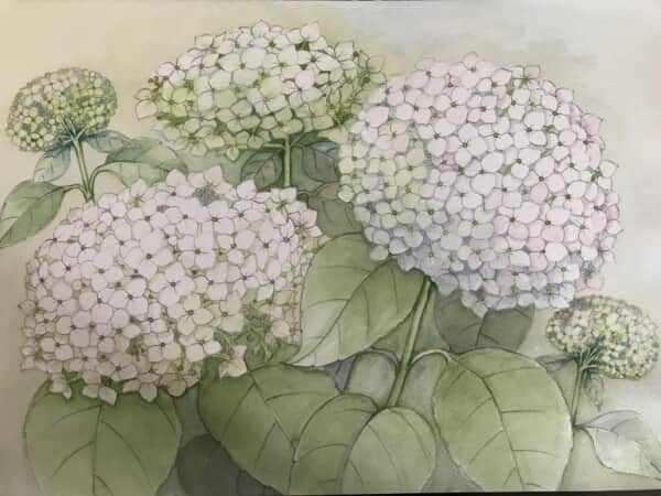アナベル