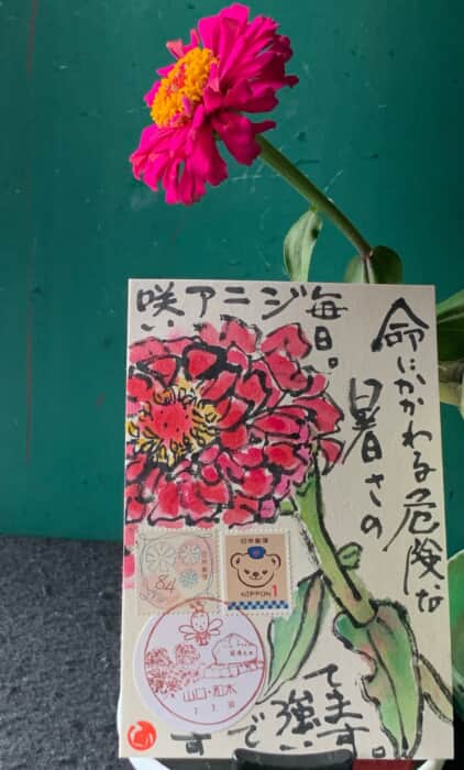 暑さに強い花❗️