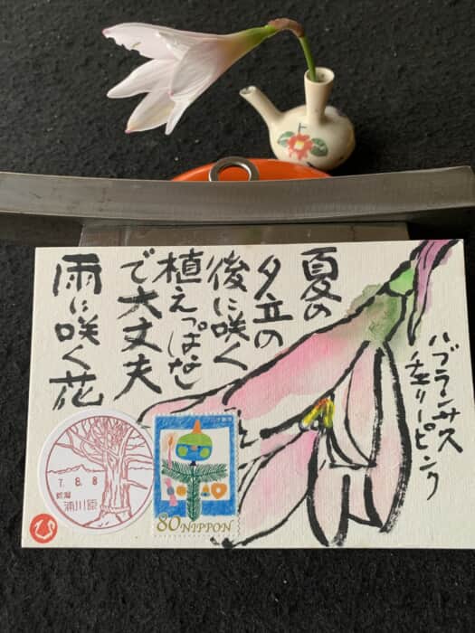 雨に咲く花