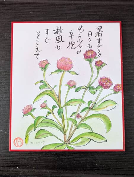 千日紅