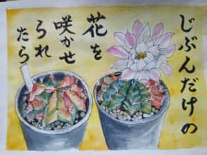 サボテンの花～*