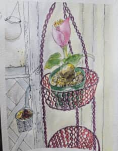 咲いた咲いた～*