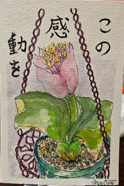 感動を～！