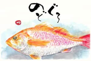 のどぐろ