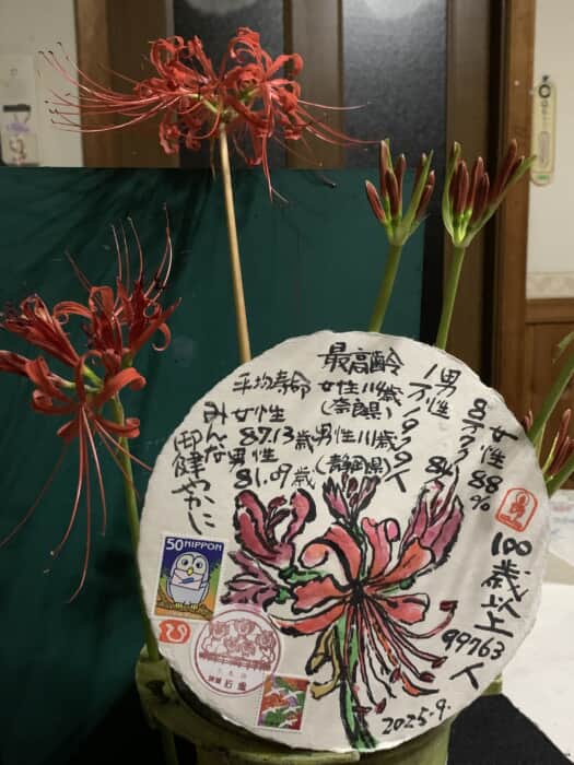 赤い花なら曼珠沙華‼️