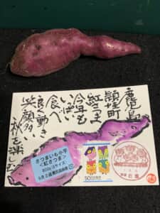 食欲の秋‼️