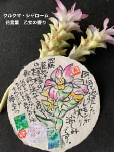乙女の香りの花言葉