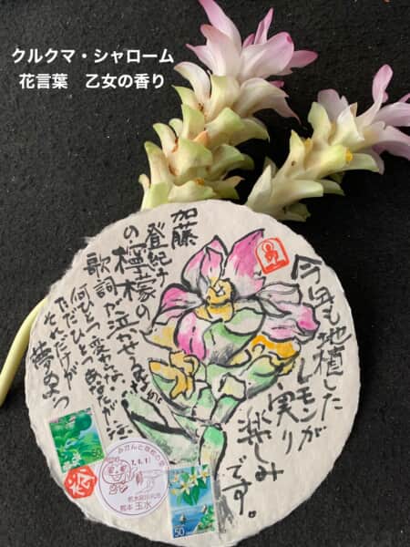 乙女の香りの花言葉
