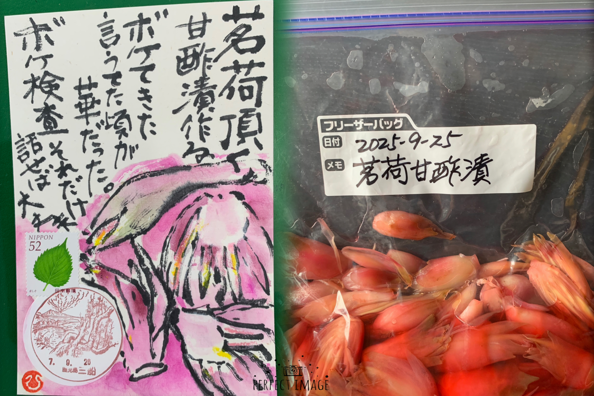 茗荷の甘酢漬け