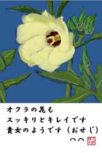 実良し、花もキレイなオクラ